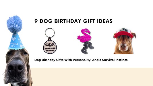 Flat lay with a dog wearing a birthday hat, charm keychain, flamingo plush toy, and dog in red trucker hat. Text reads: “9 Dog Birthday Gift Ideas"