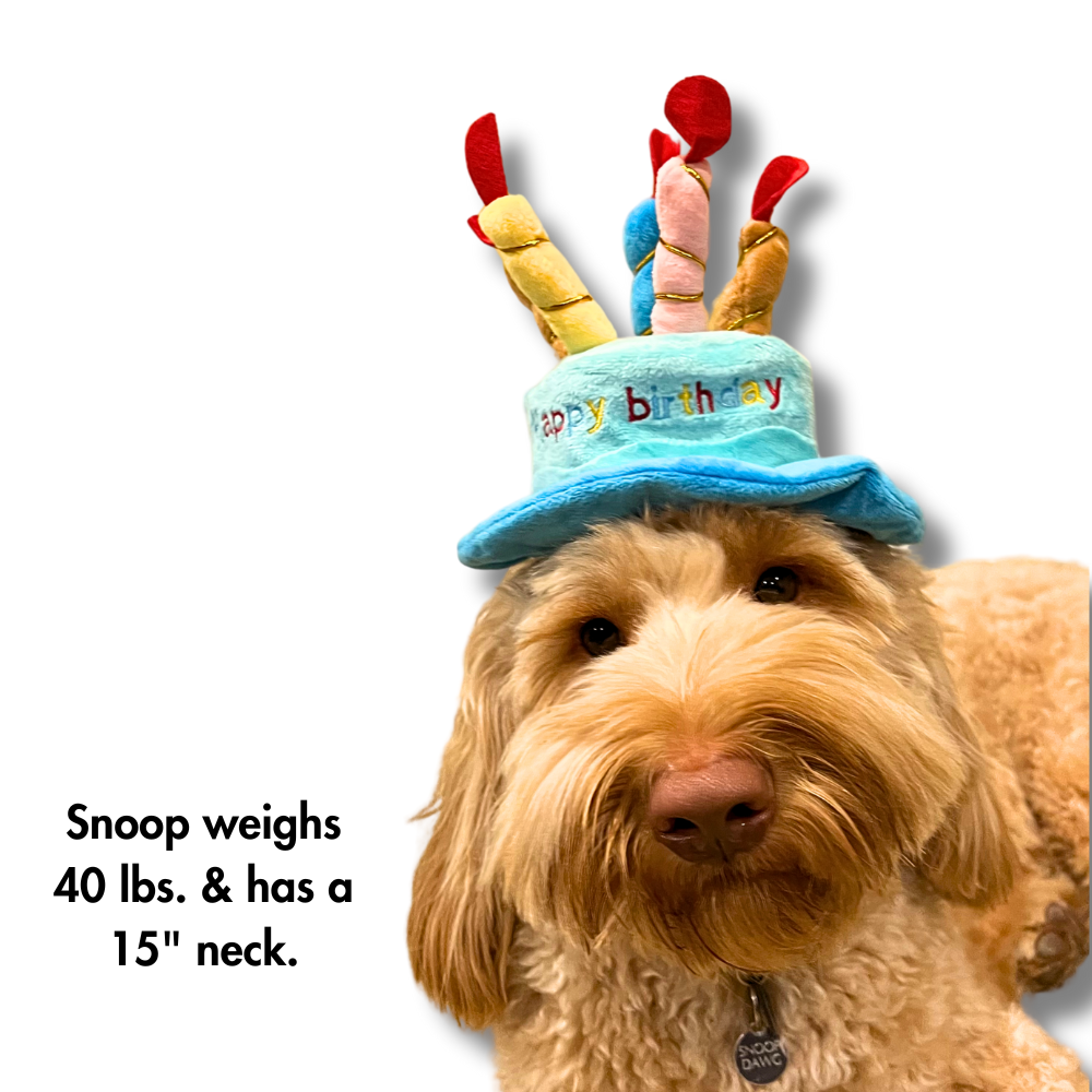Birthday Cake Dog Hat for Small and Medium Dogs