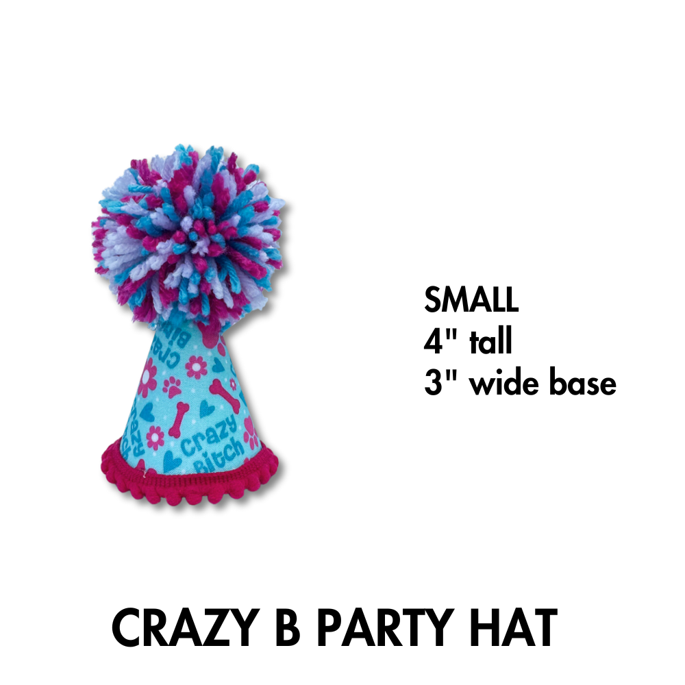 party hat for dog shown in small size - light blue and pink with giant pom on top