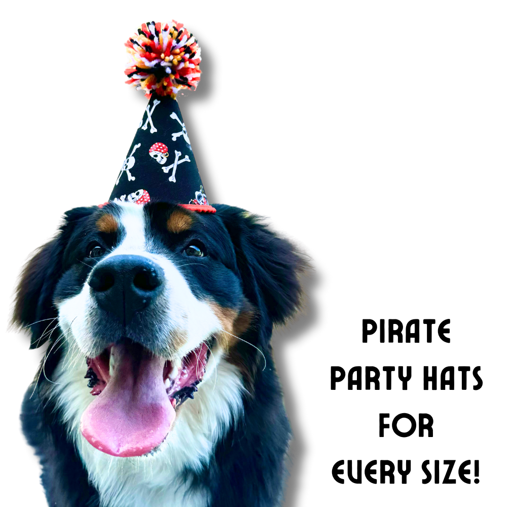 Bernese Mountain Dog modeling our size large dog party hat, pirate theme with large pom on top.