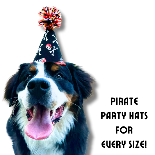 Bernese Mountain Dog modeling our size large dog party hat, pirate theme with large pom on top.