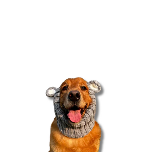 Cute Koala Dog Snood | Koala Hat for Dogs