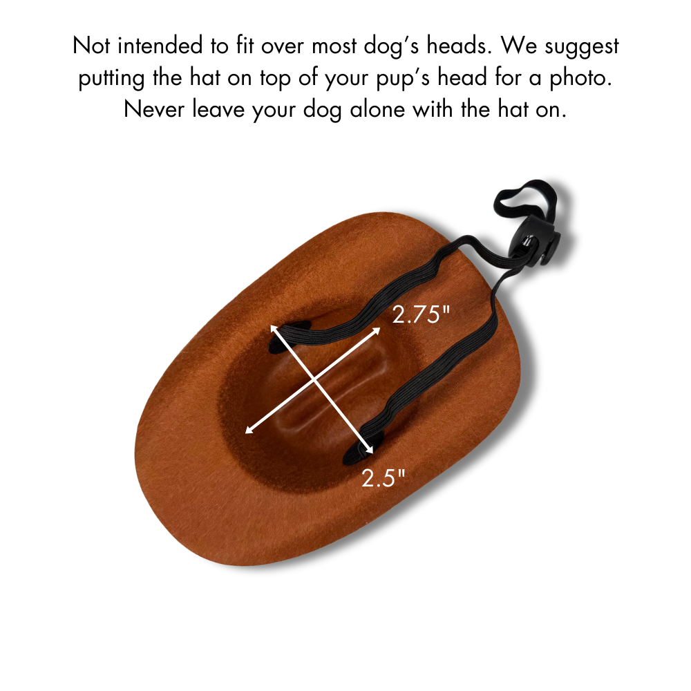 dog cowboy hat upside down to show inside dimensions of the hat but a note at the top explains that the hats just rest on top of the dog's head