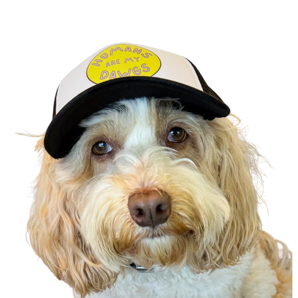 Trucker Hat for Dogs Humans are my Dawgs The Verve Bar