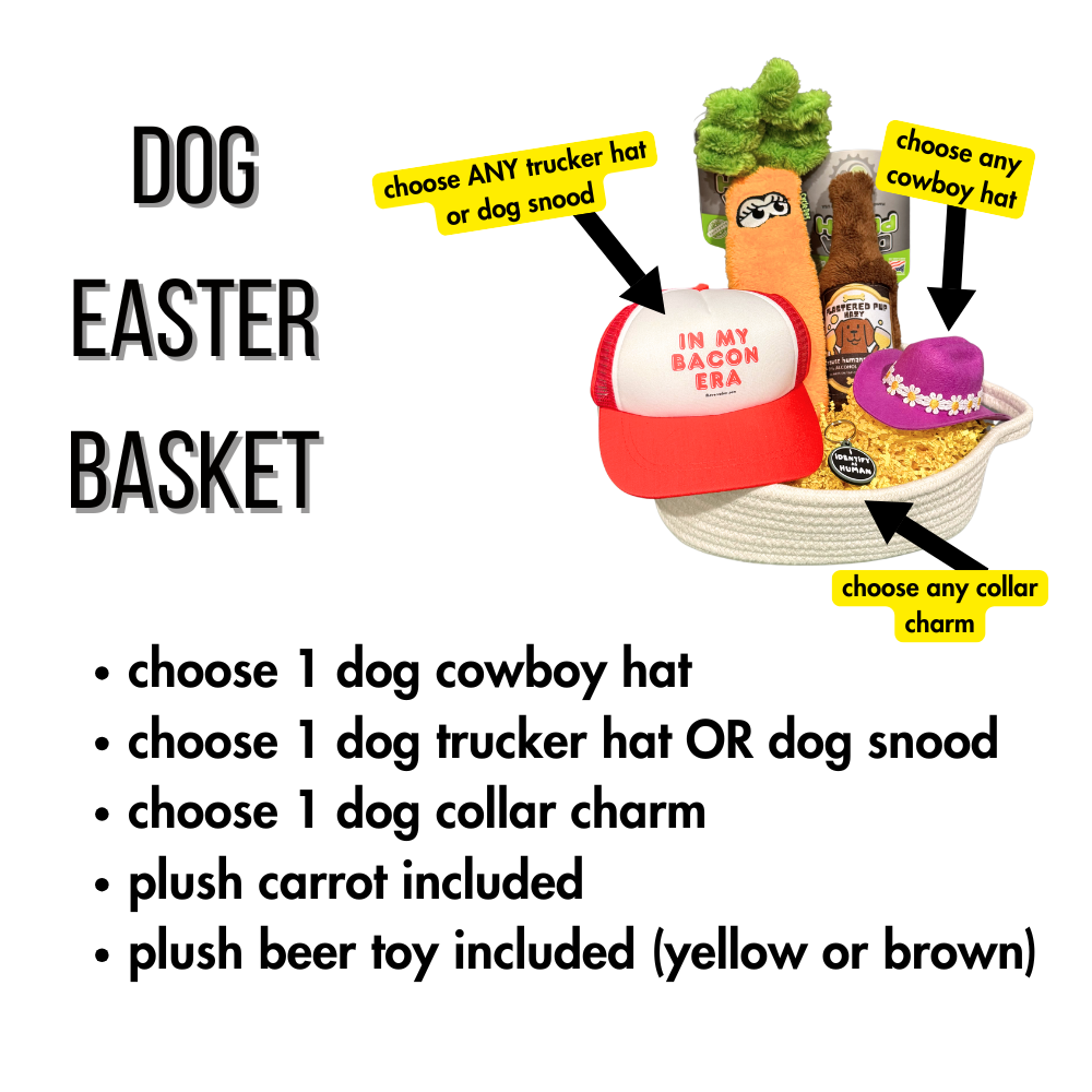 diagram showing what is included in our dog easter basket