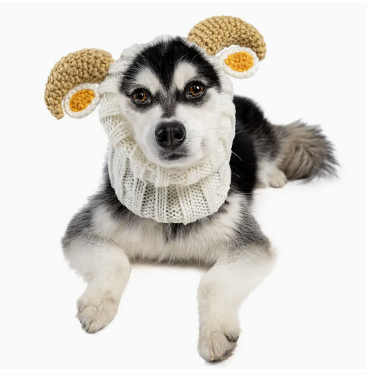 Dog Halloween Snood | Mountain Goat / Ram