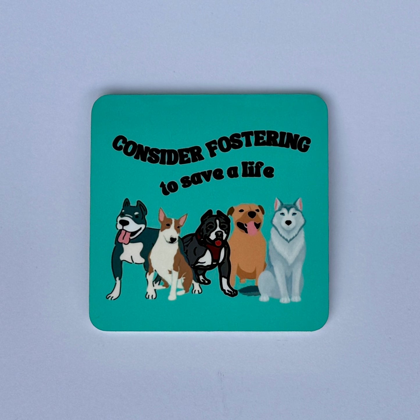 Consider Fostering to Save a Dog - Magnet