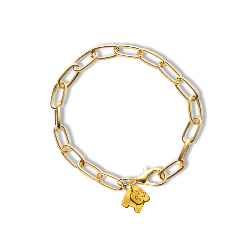 Paperclip Chain Bracelet With Charm | Gold or Silver