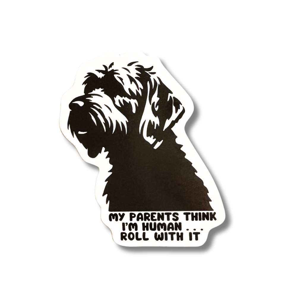 goldendoodle dog sticker "dark gray cartoon of labradoodle with caption: my parents think I'm human, roll with it."