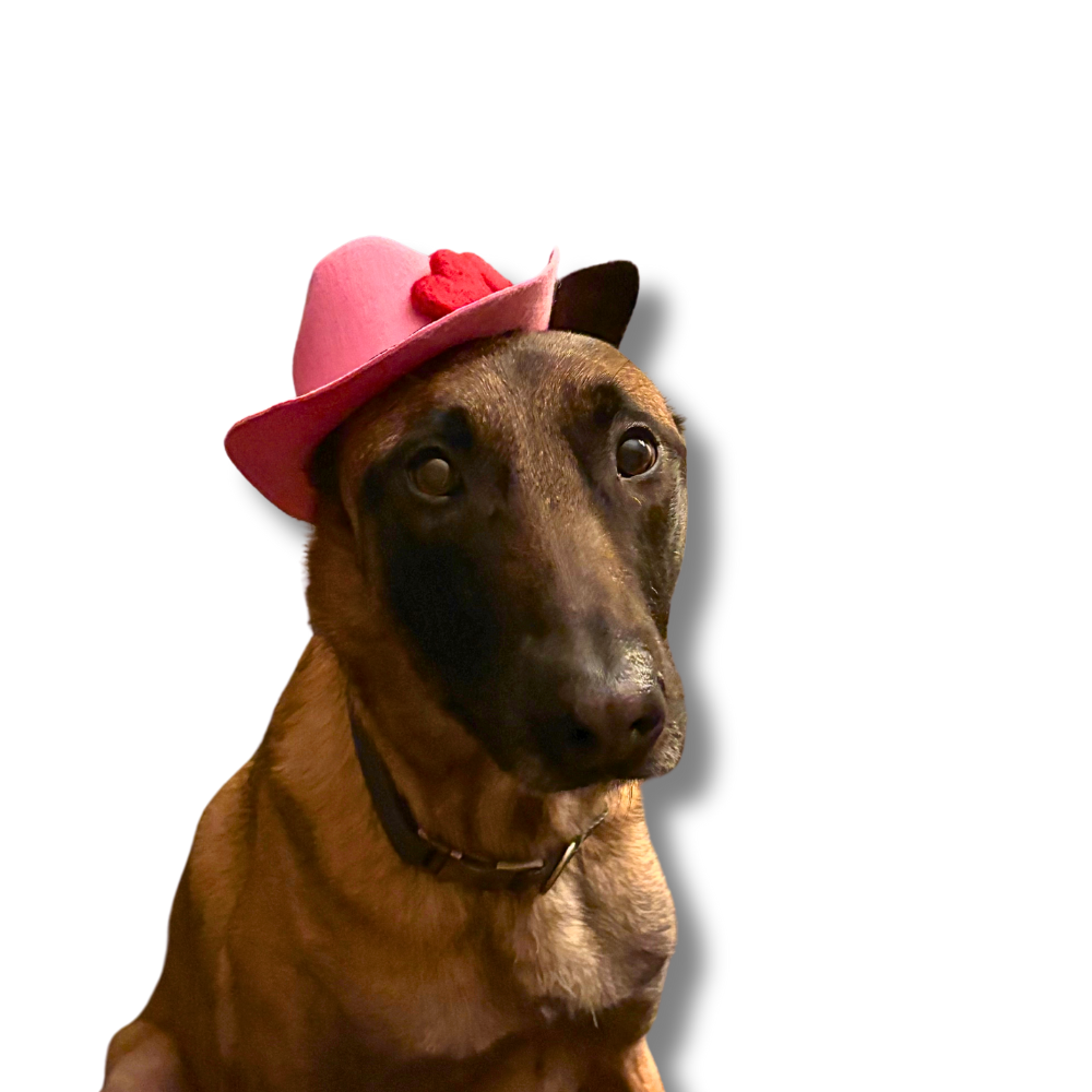 Cutest Dog Cowboy Hats | Pink with Flowers - 2 Sizes