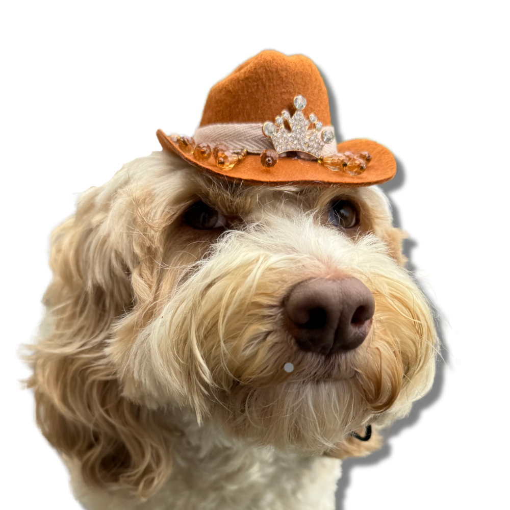 Mini Brown Dog Cowboy Hat | Amber Beads Bling