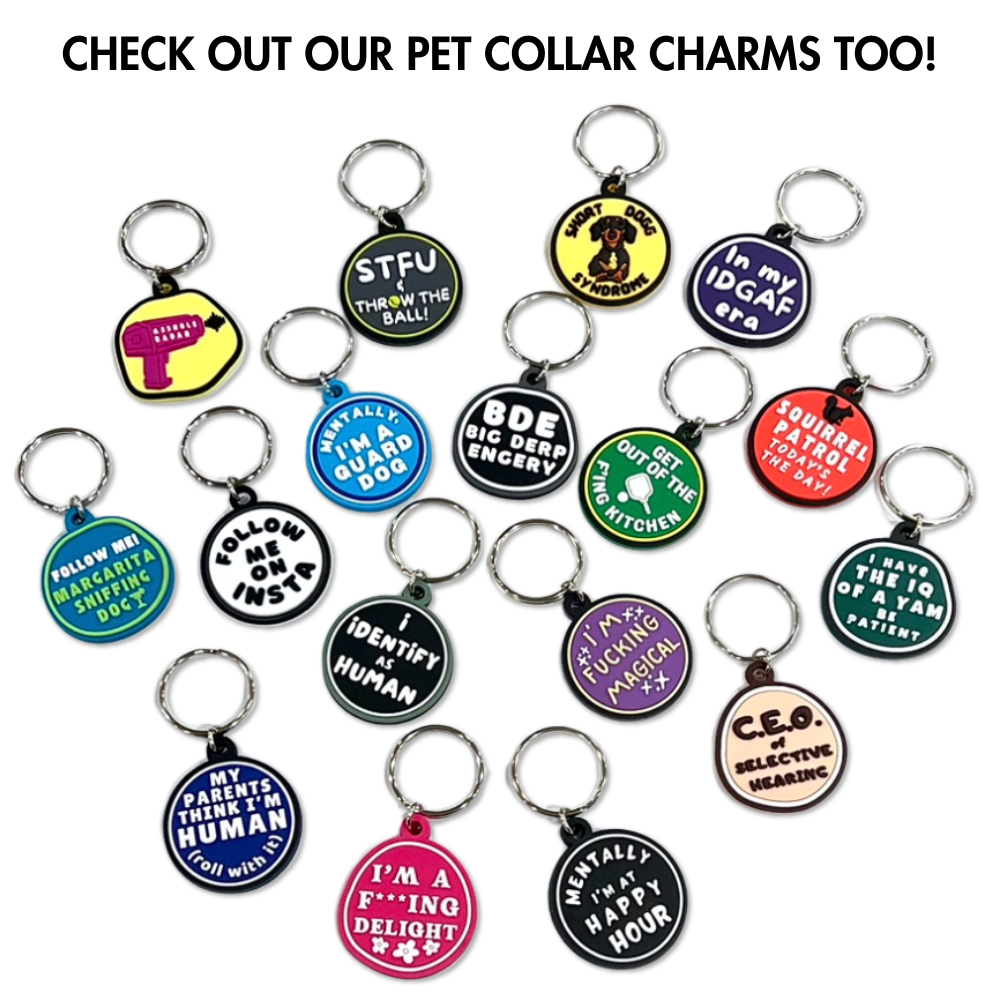 Assortment of 17 funny dog collar charms