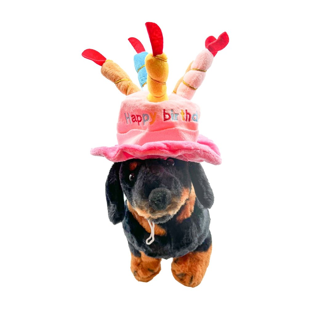 Birthday Cake Dog Hat for Small and Medium Dogs