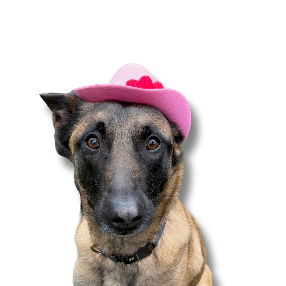 Cutest Dog Cowboy Hats | Pink with Flowers - 2 Sizes