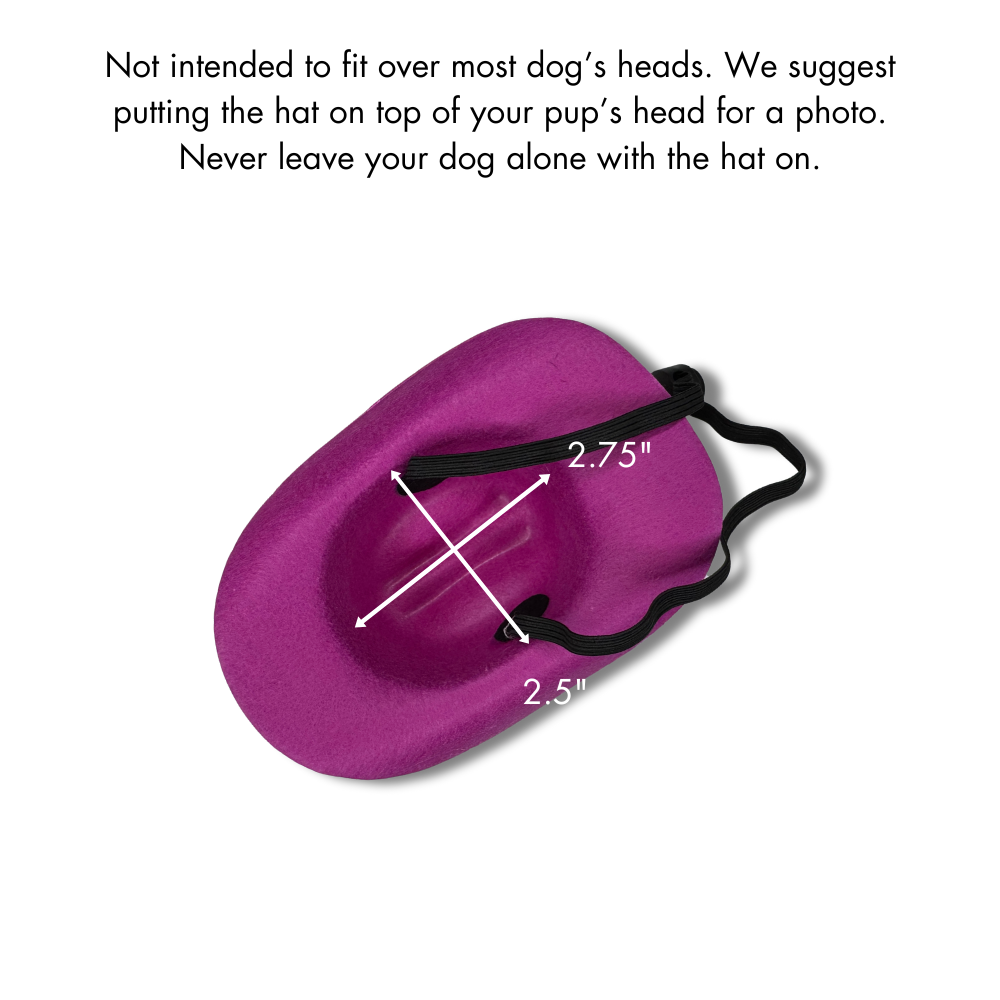 underside dimensions of purple cowboy hat for dog
