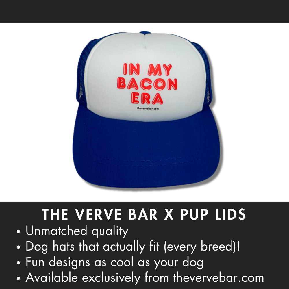 Trucker hat dogs hat. Blue with red font: In my bacon era and info about the doggy hat at the bottom