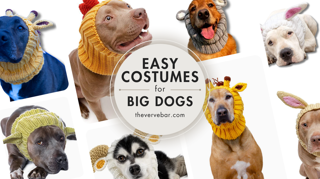 Large dogs wearing cute snood halloween costumes; pit bull as a rooster, great dane as a giraffe, golden retriever as a koala, pittie as an alien, husky as a mountain goat, bunny, and more