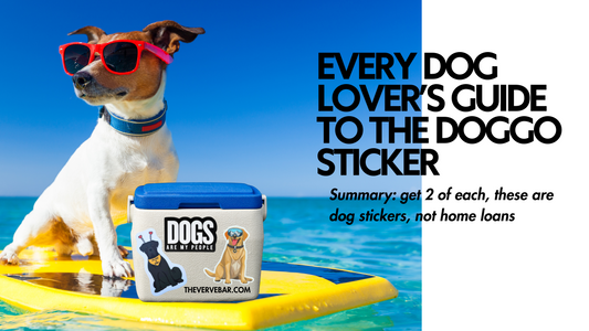 Dog wearing red sunglasses on a yellow surfboard with cooler covered in dog stickers; text reads “Every Dog Lover’s Guide to the Doggo Sticker.”