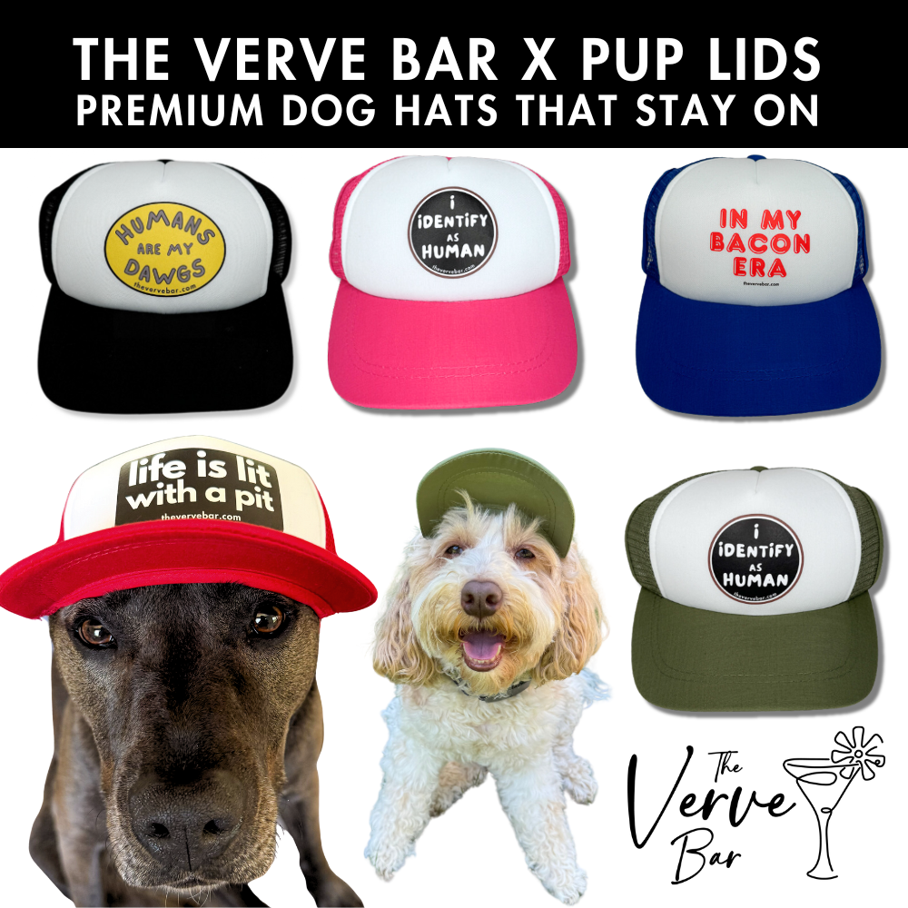 Five styles of Pup Lid's dog trucker hat shown in pink, black, blue, olive green and red. Caption says: premium dog hats that stay on