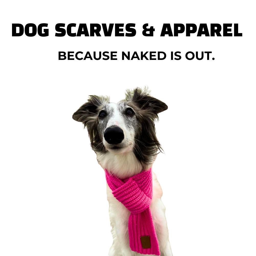 Dog wearing hot pink scarf. Text says: Dog Scarves & Apparel. Because naked is out.