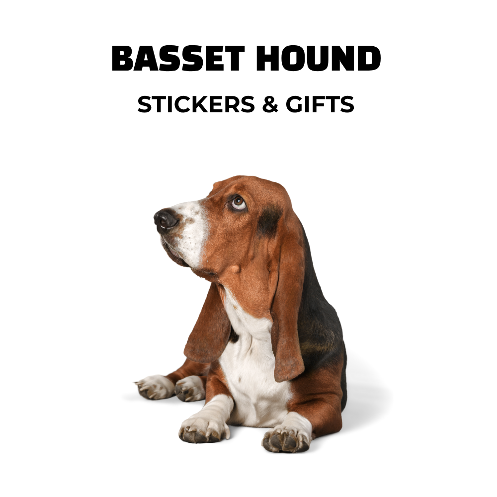 Image of basset dog. Text: basset hound stickers and gifts.