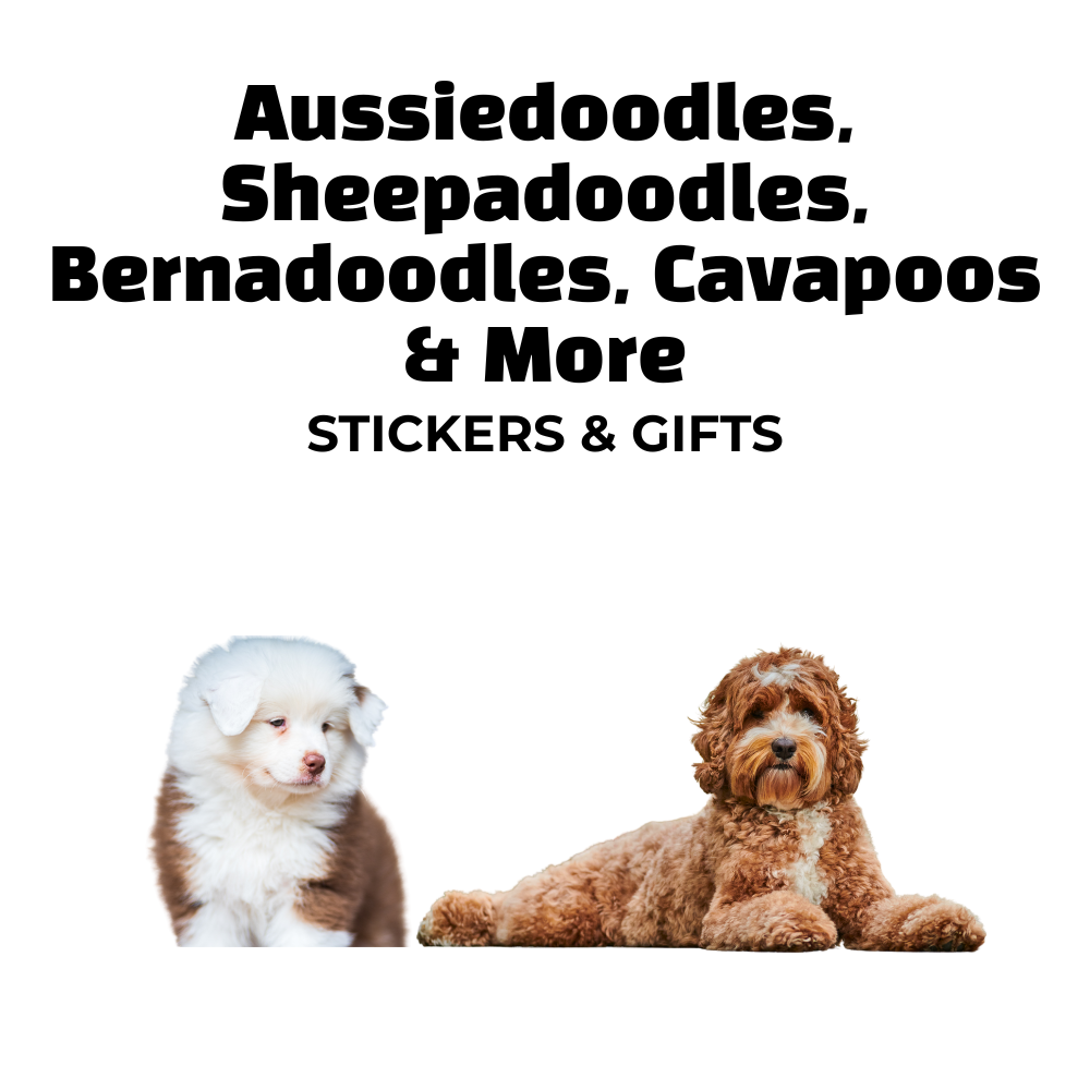 Cavapoo and Australian Shepherd-style dogs under text reading "Aussiedoodles, Sheepadoodles, Bernadoodles, Cavapoos & More – Stickers & Gifts"