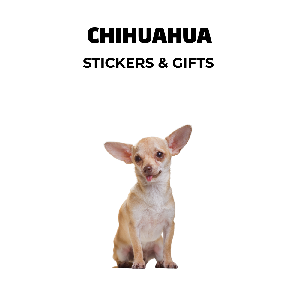 Image of tan and white chihuahua and text: chihuahua stickers and gifts