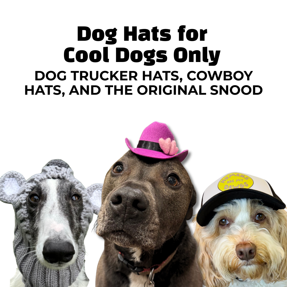 Dogs wearing knit snood, pink cowboy hat, and black-and-white trucker hat. Funny dog hat collection cover with bold text and white background.