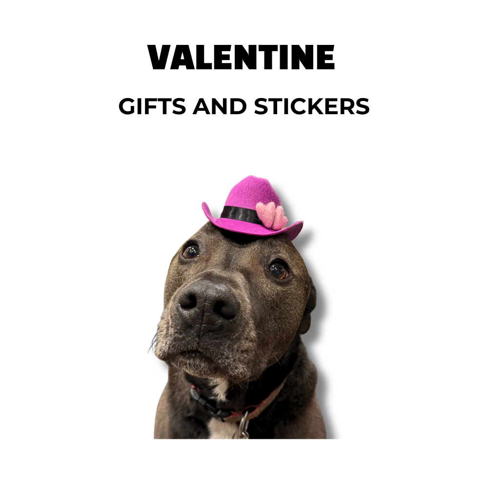 Black pit bull wearing purple valentine dog cowboy hat