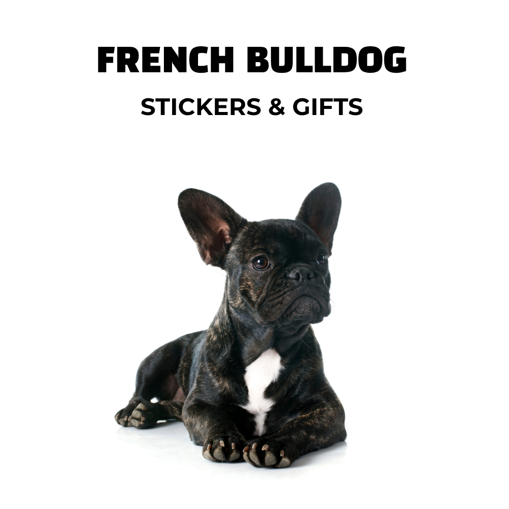 black French bulldog laying down. Text: French bulldog stickers and gifts