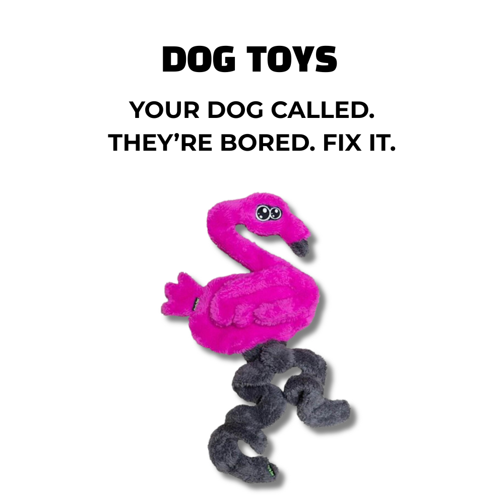 Pink flamingo dog toy with springy legs. Text: Dog Toys