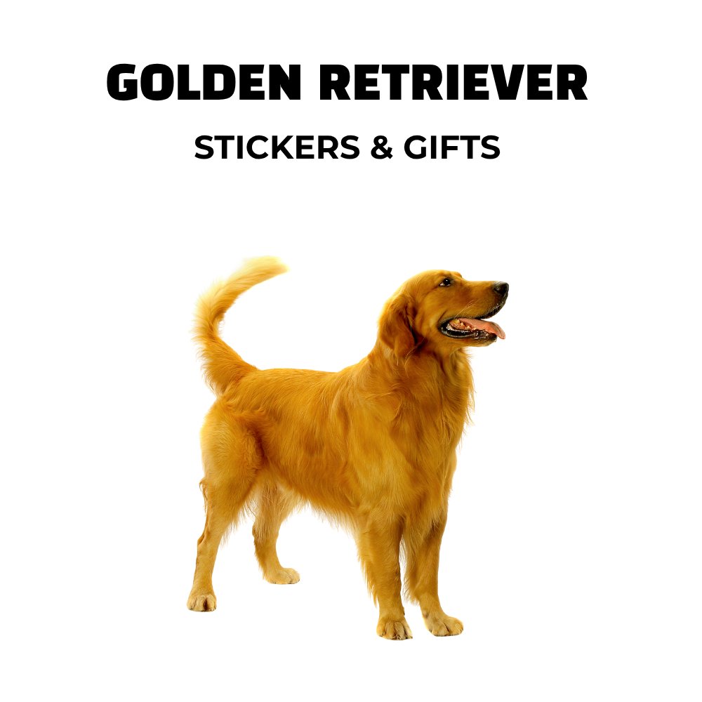 image of golden retriever and text: golden retriever stickers and gifts