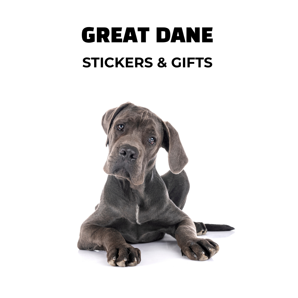 Image of gray great dane puppy and text: great dane stickers and gifts