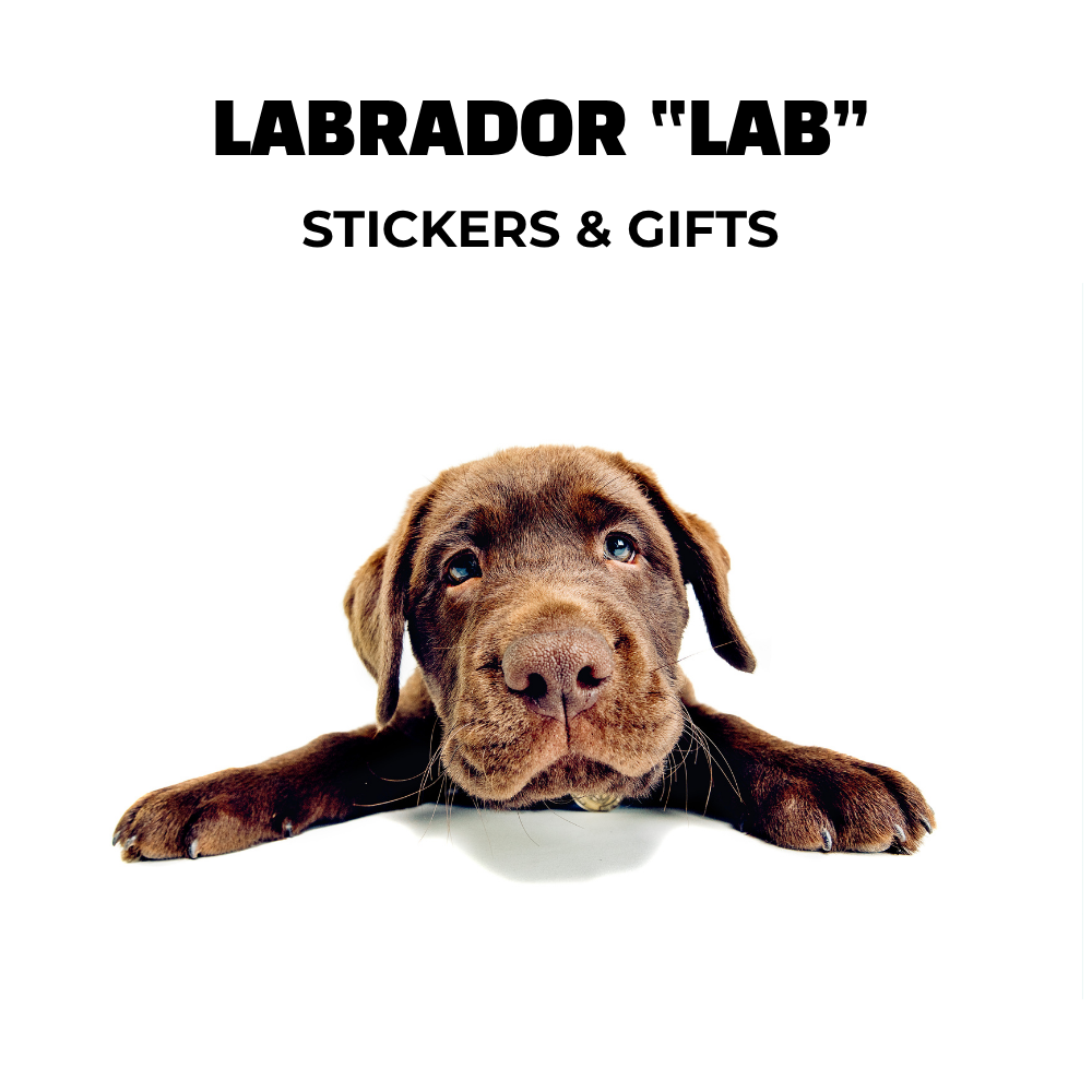 Image of brown labrador puppy. Text: Lab stickers and gifts