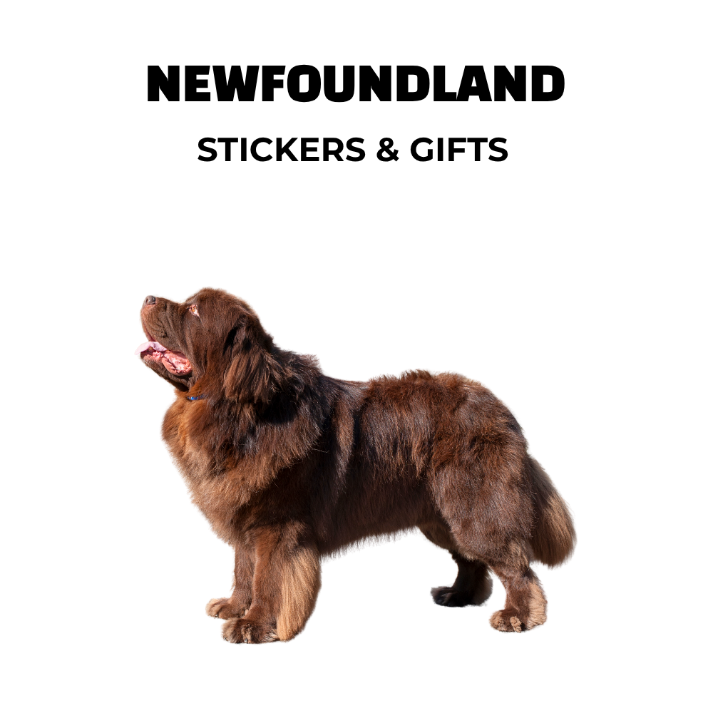 image of brown Newfoundland dog. Text: Newfoundland stickers & gifts