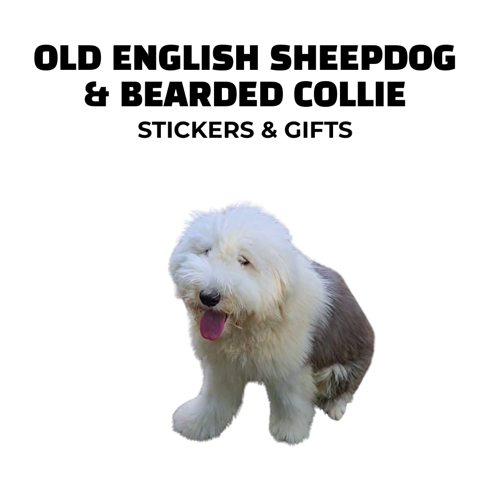 Image of old English sheepdog and text: English Sheepdog & Bearded Collie