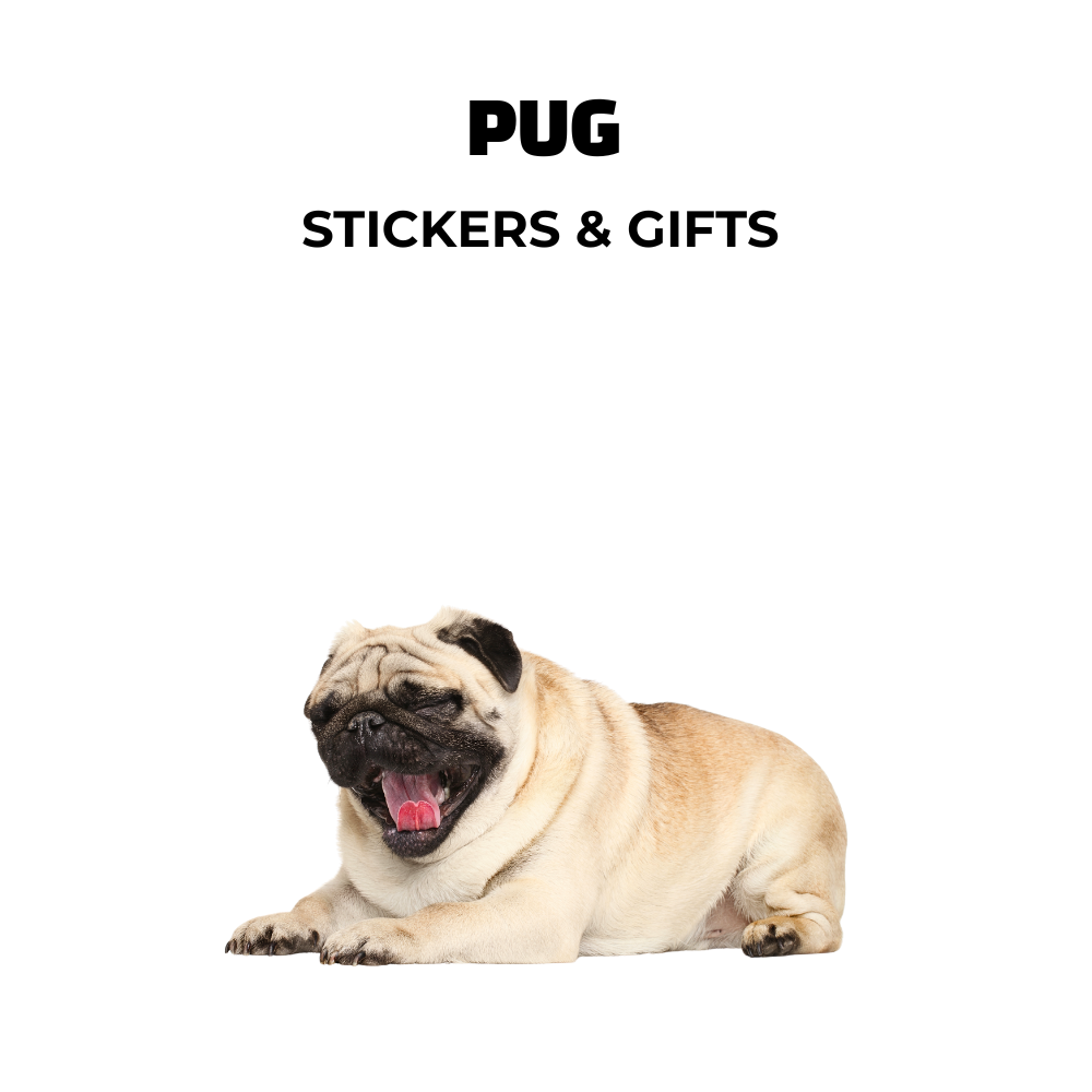 Image of tan pug. Text PUG Stickers & Gifts