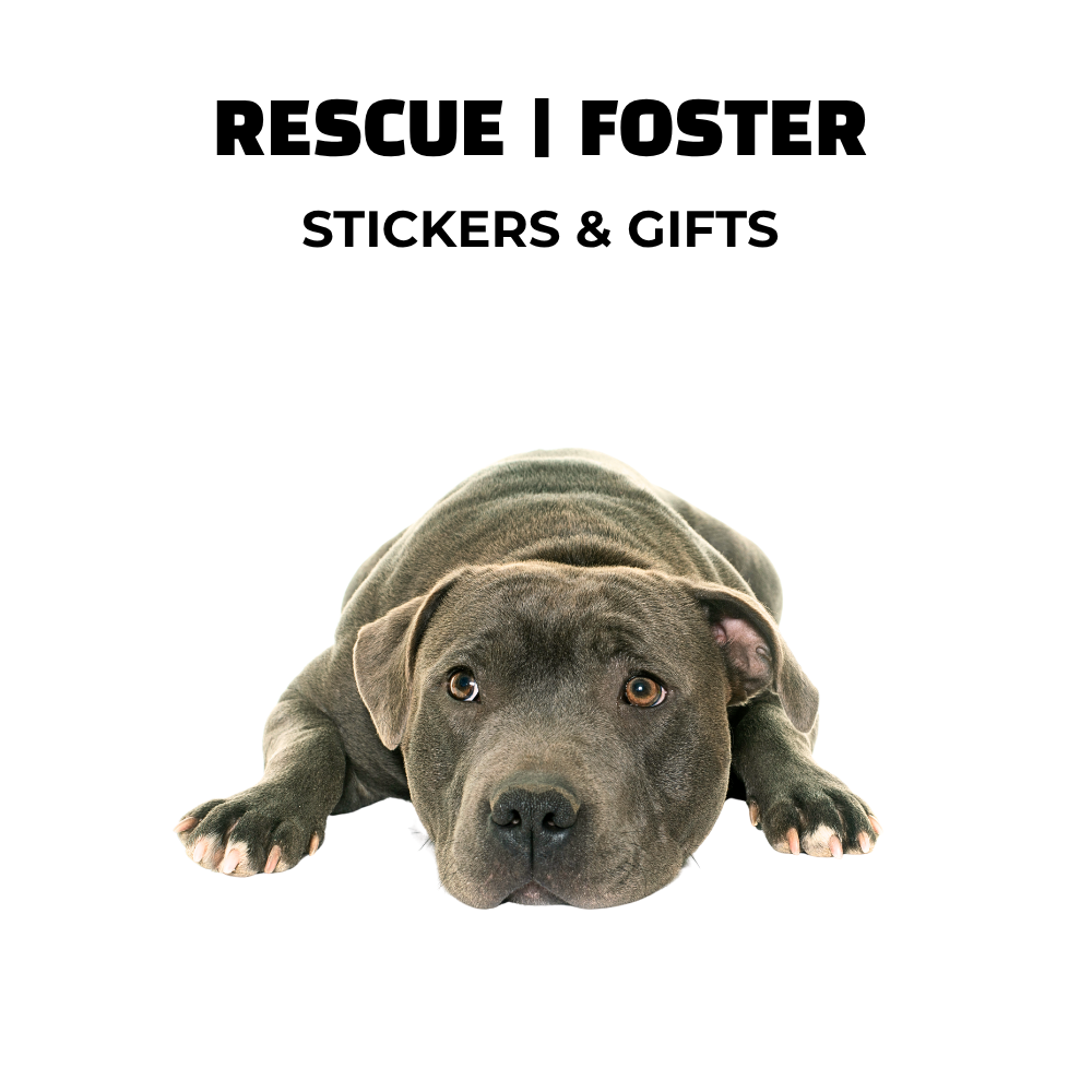 Image of gray Staffordshire Bull Terrier dog and text: Rescue | Foster stickers