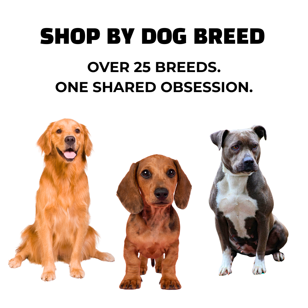 Golden Retriever, Dachshund, and Pit Bull dog sticker images under bold text: Shop by Dog Breed.