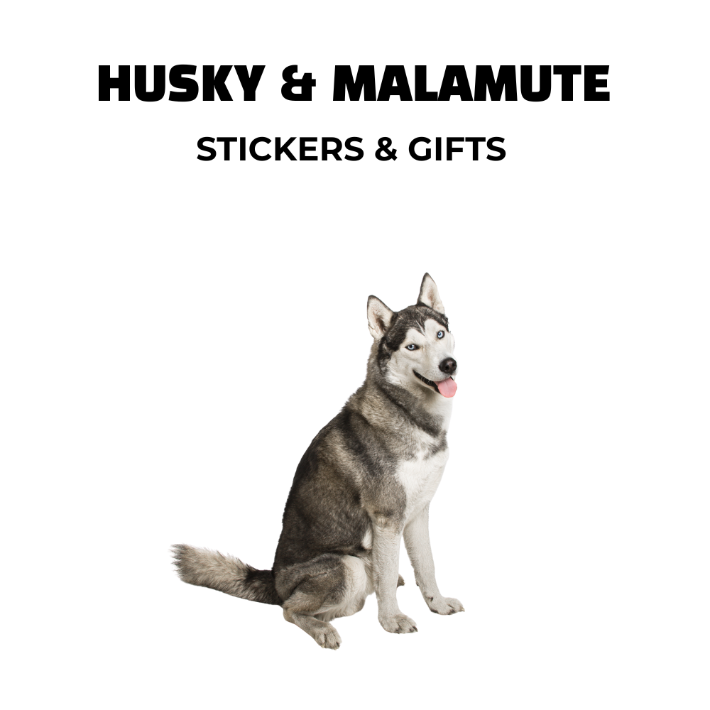 Illustration of a Siberian Husky with a black-and-white coat sitting on a white background. Text above reads “HUSKY STICKERS & GIFTS” in bold black font.
