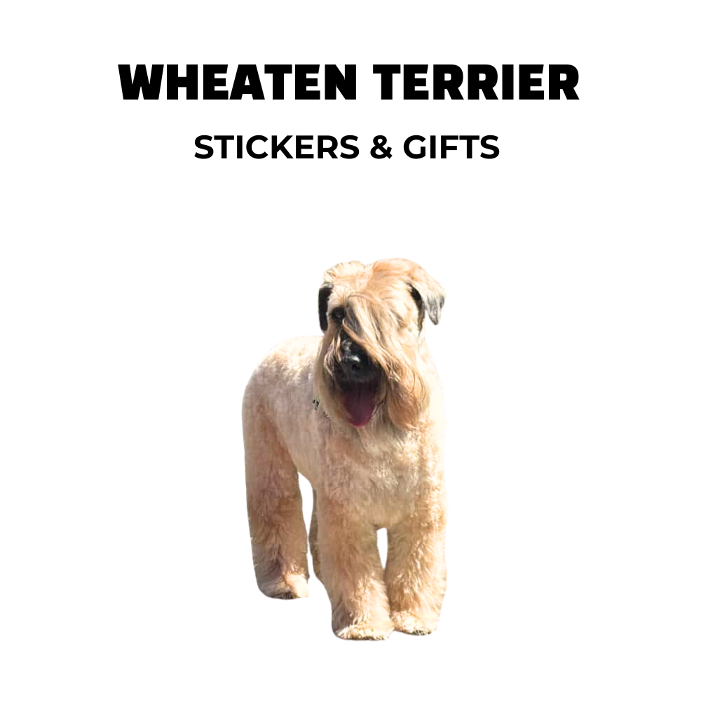 soft coated wheaten terrier. text: wheaten terrier stickers and gifts
