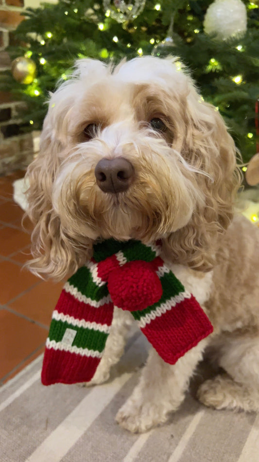 Striped / Pom Wool Dog Scarf for All Size Dogs
