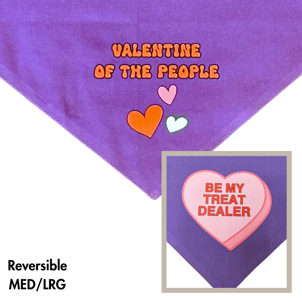 Valentine Dog Bandana | Purple Dog Accessory