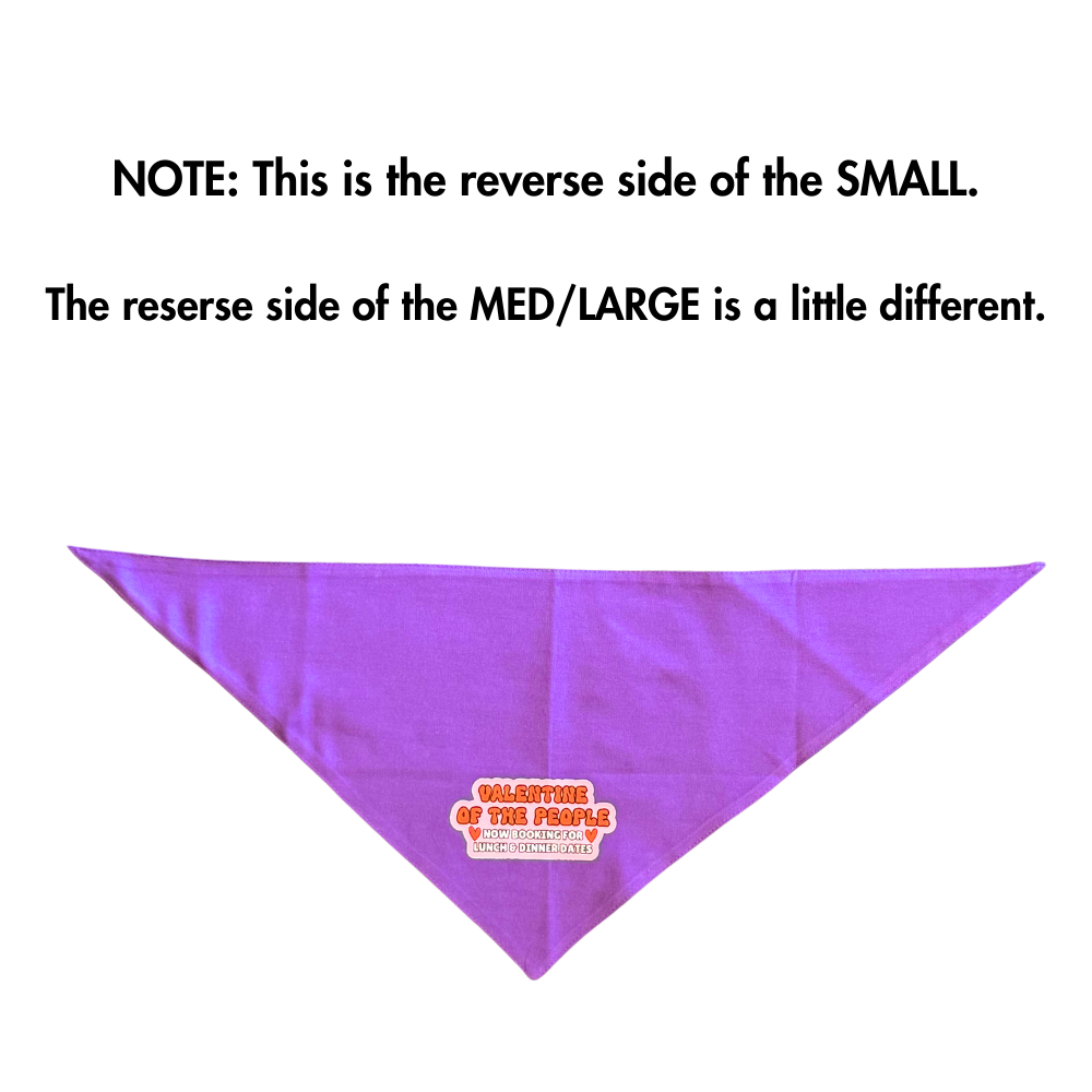 Valentine Dog Bandana | Purple Dog Accessory