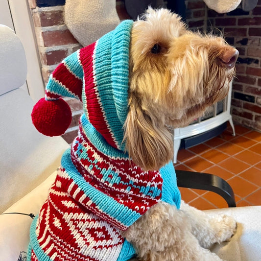 Wool Dog Apparel | Cutest Hooded Dog Sweater