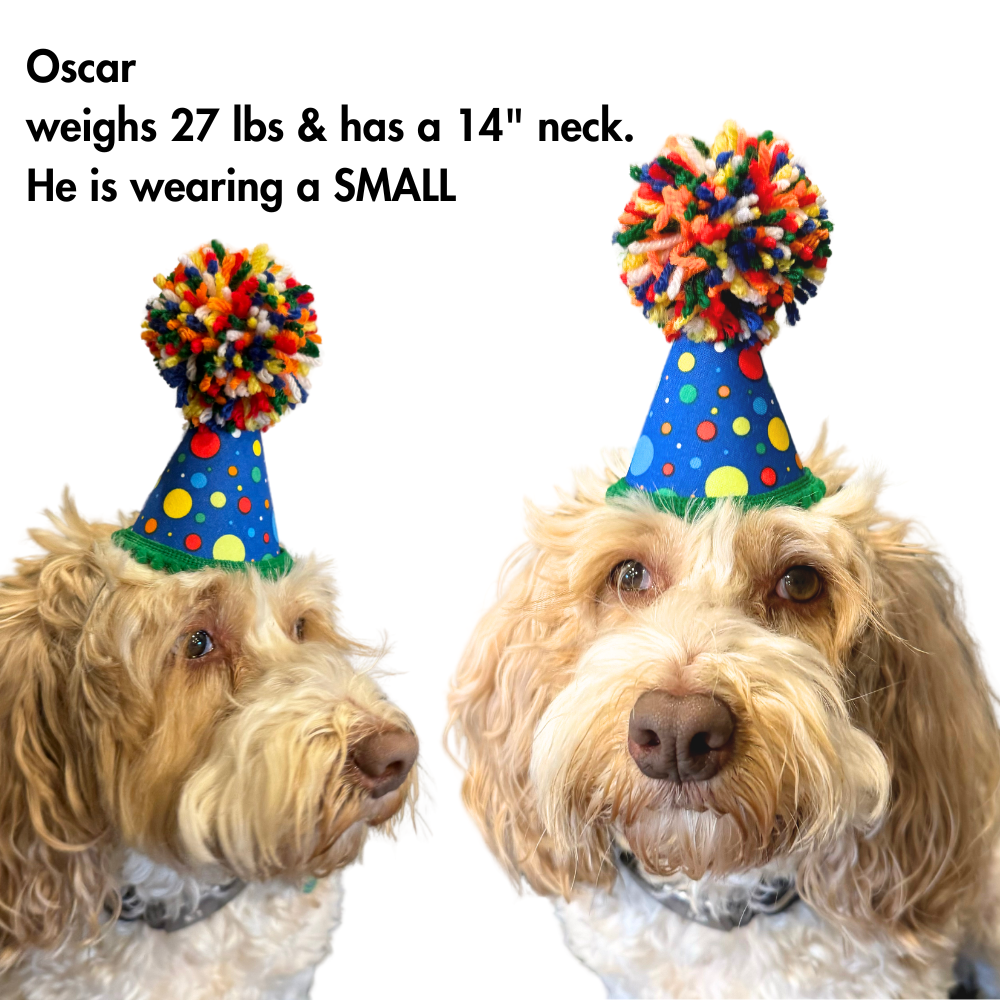 dog in hats model - Oscar modeling size small pup party gotcha day hat