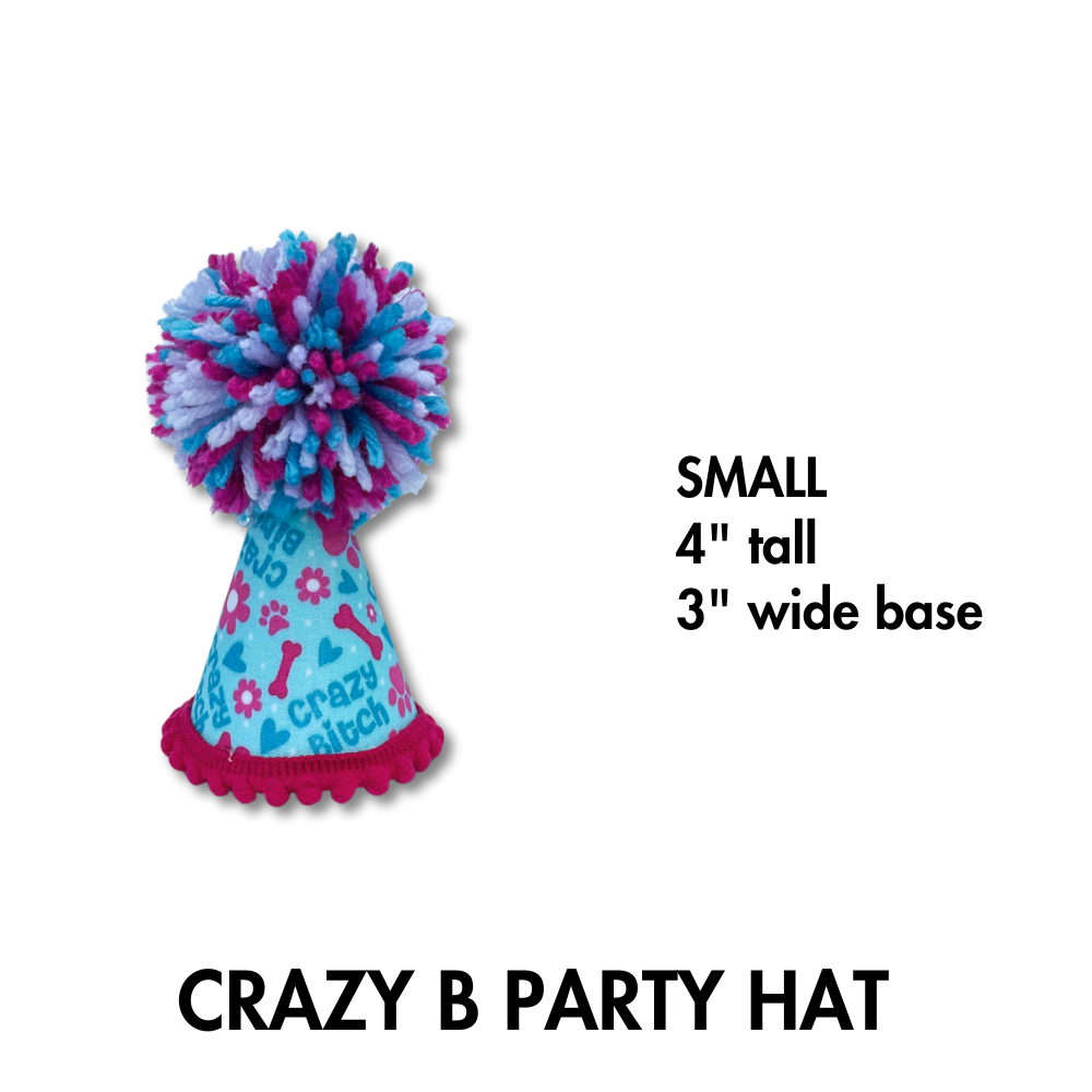 party hat for dog shown in small size  - light blue and pink with giant pom on top