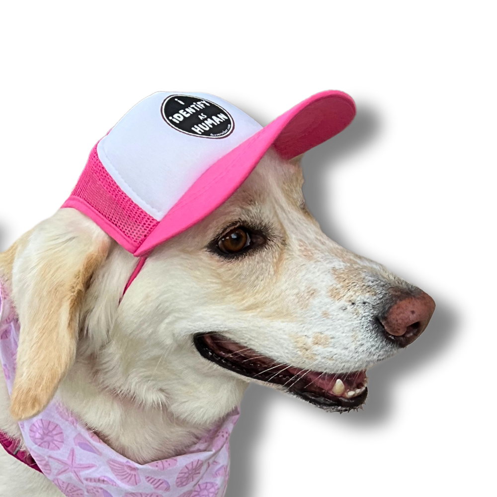 Dog Baseball Cap - Pink Trucker Hat