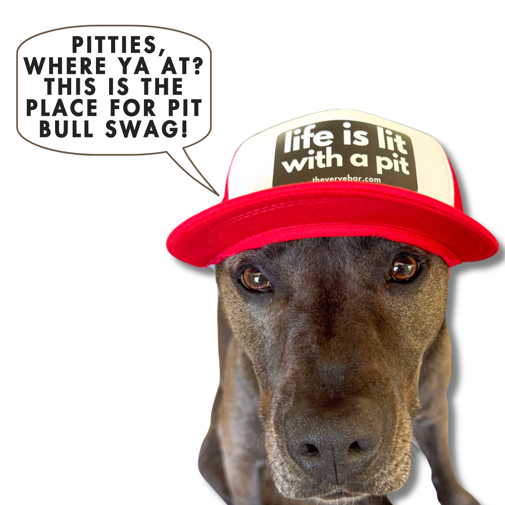 HATS FOR PIT BULL - BLACK PIT DOG WEARING RED AND WHITE HAT "LIFE IS LIT WITH A PIT"