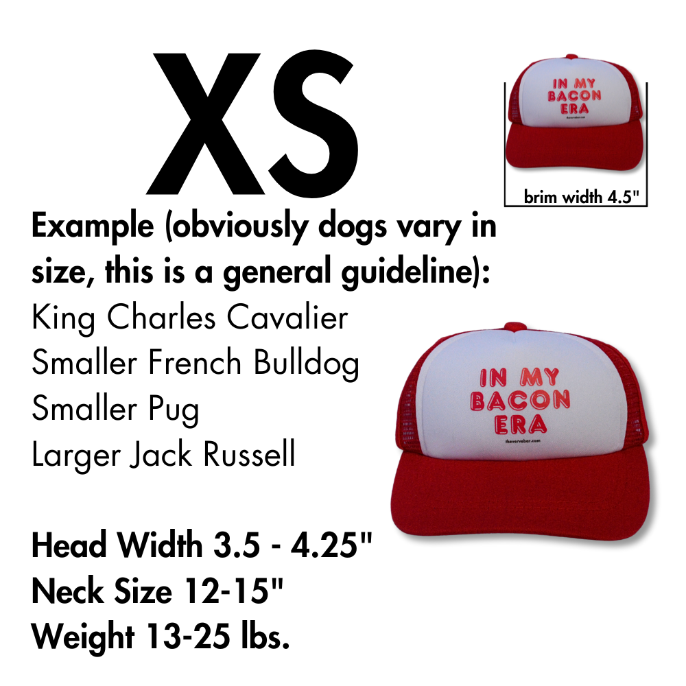 Pup Lid Dog Hat | In my Bacon Era (red on red)